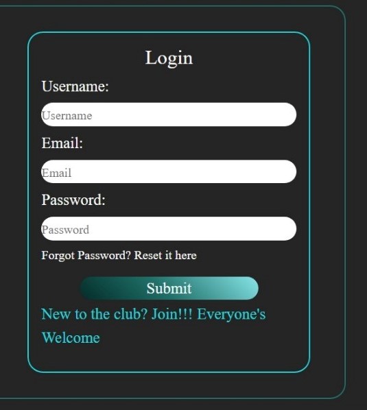 E-commerce website's login